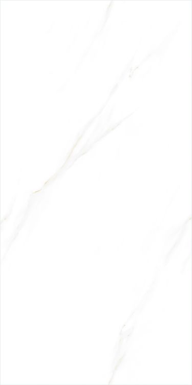 Time Cielo Matte 24 x 48